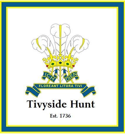 Tivysidehunt