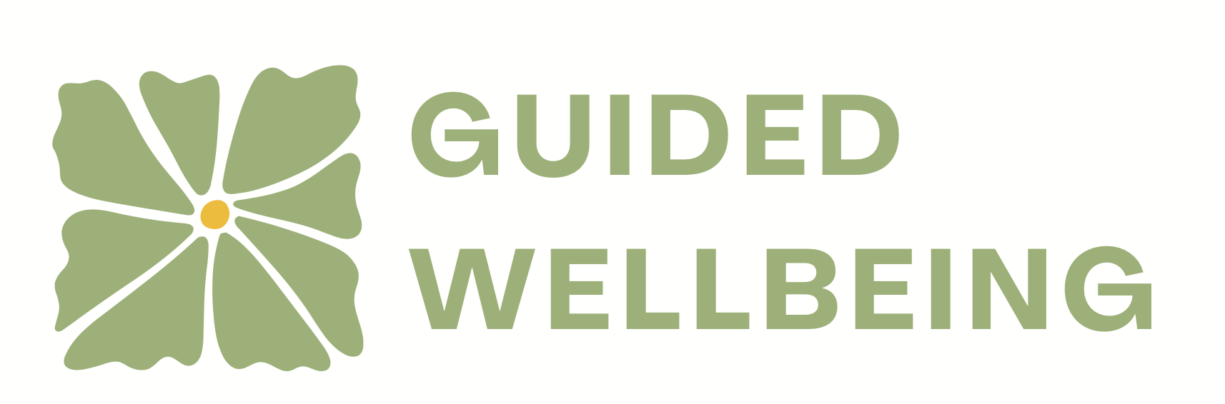 Guided Wellbeing