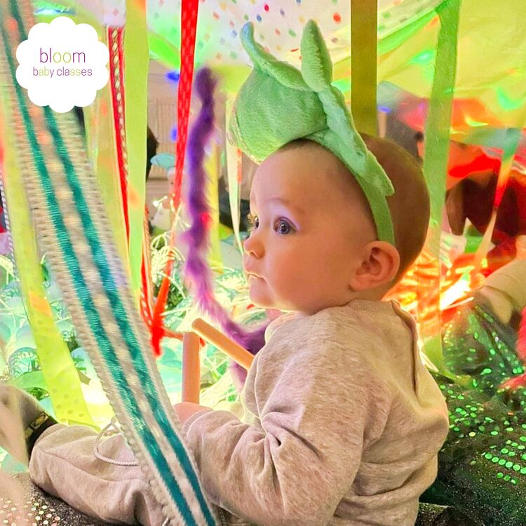 Bloom Baby Classes Tamworth Booking by Bookwhen