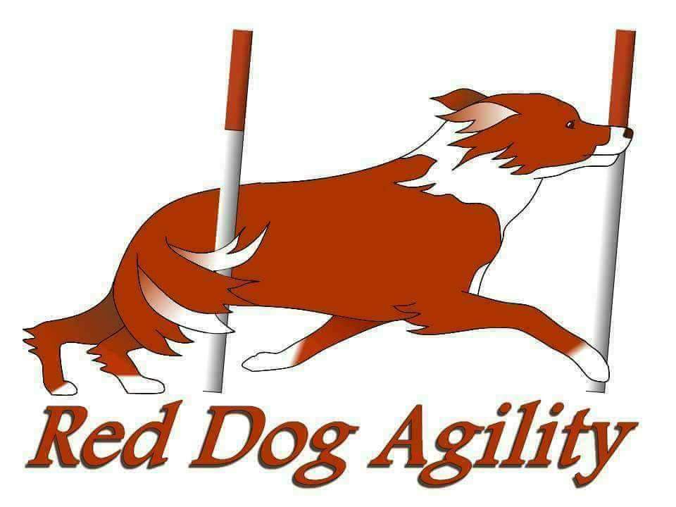 Red Dog  Agility