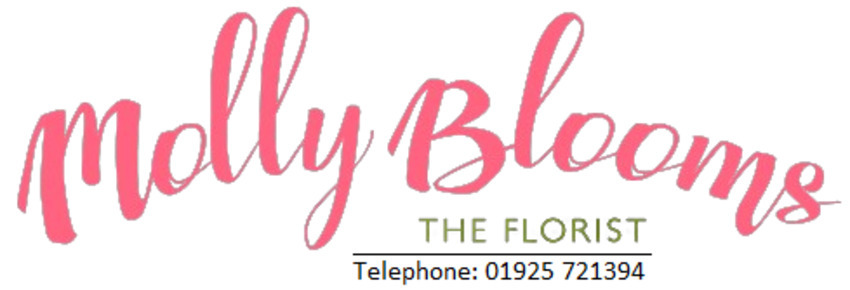 Molly Blooms The Florist