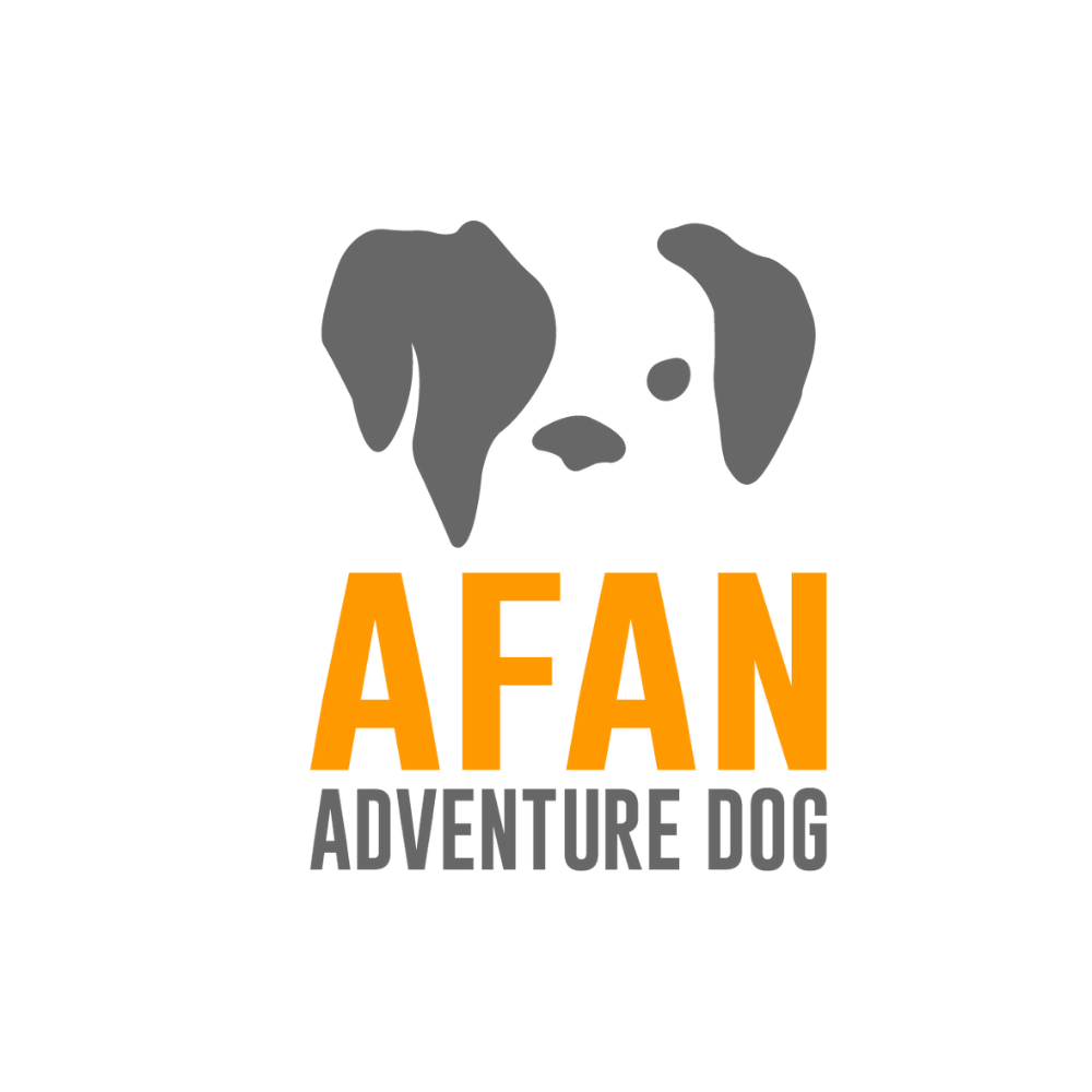 Afan Adventure Dog