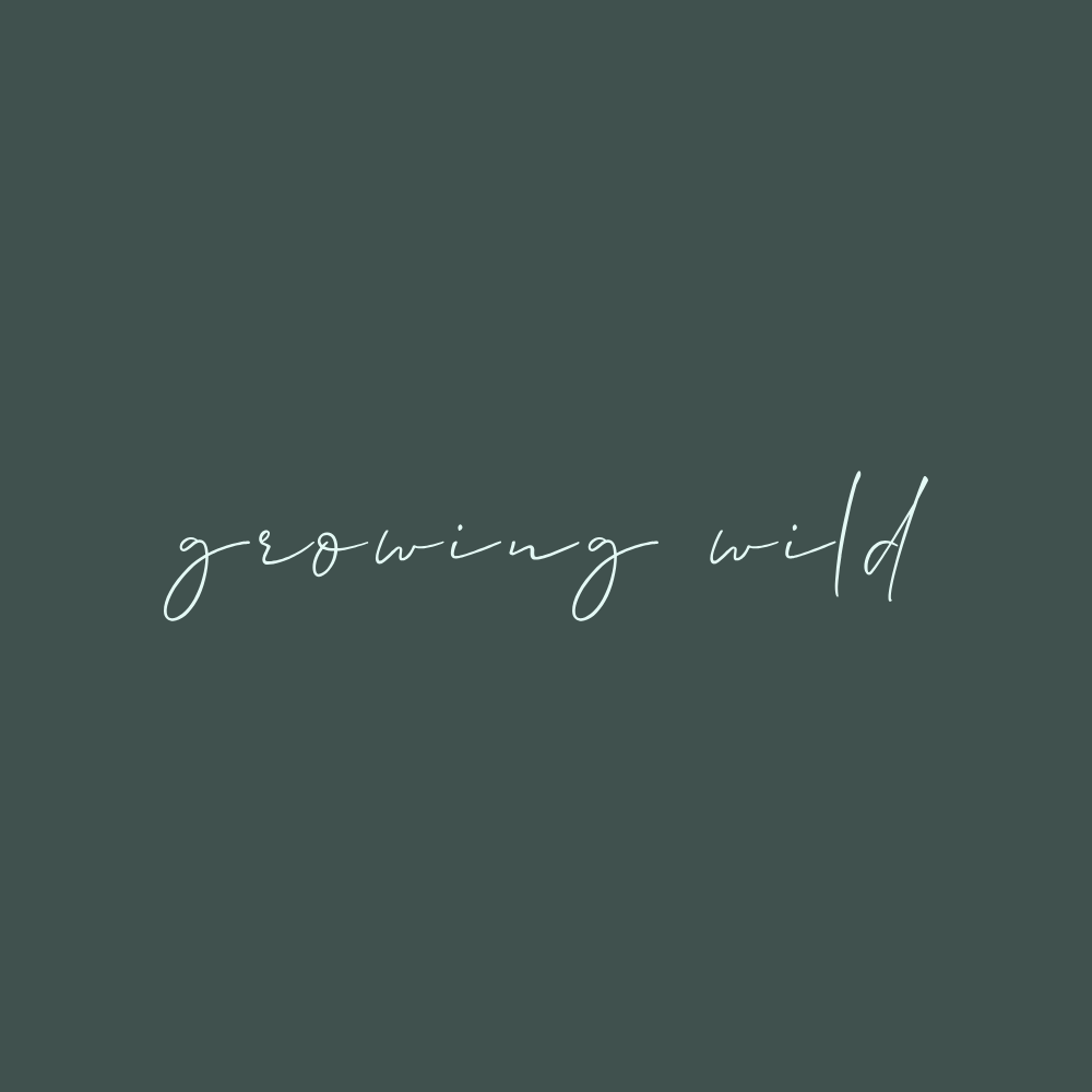 Growing Wild Redditch 