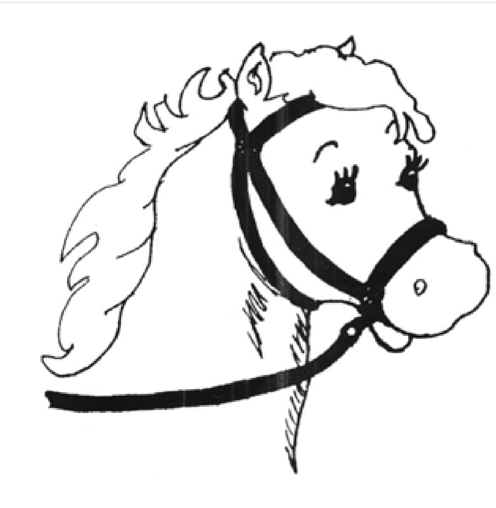 Black's Horses and Ponies, Inc.