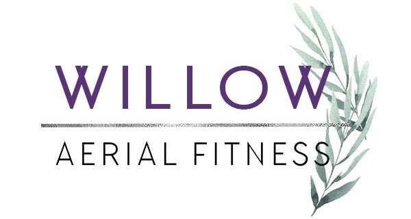 Willowaerialfitness