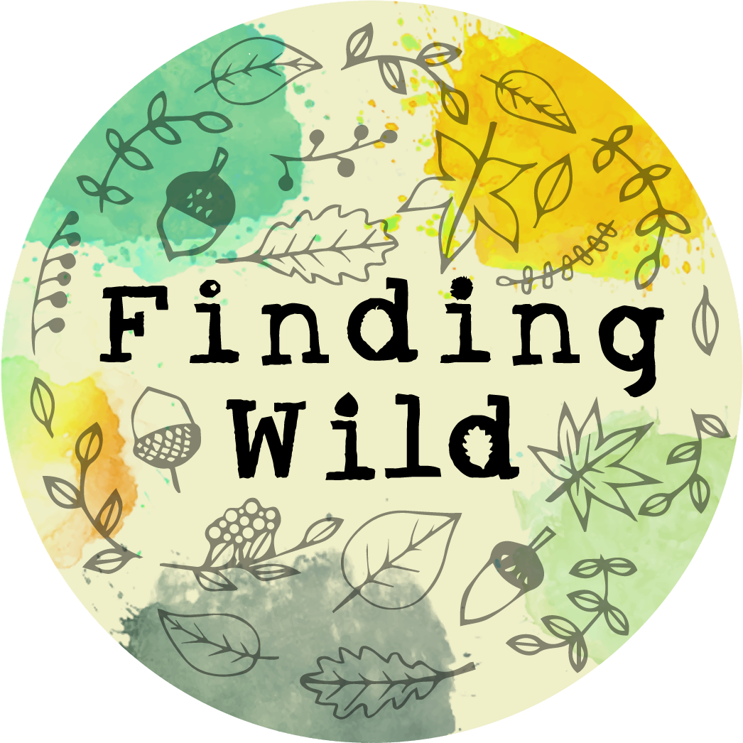 Finding Wild
