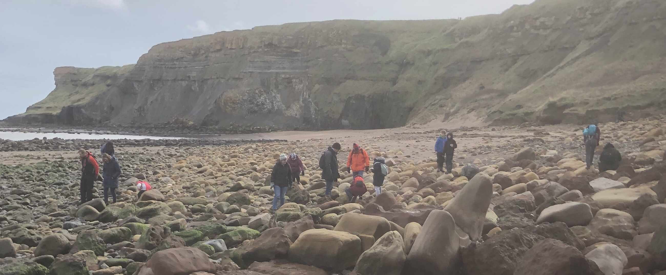 Yorkshire Fossil Hunting Tours Booking by Bookwhen