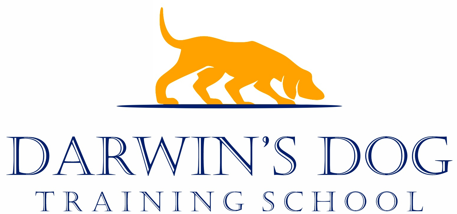 Darwin's Dog Training School