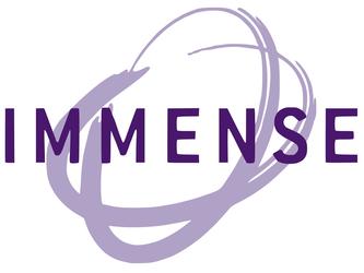 Immense Dance & musical Theatre School ltd