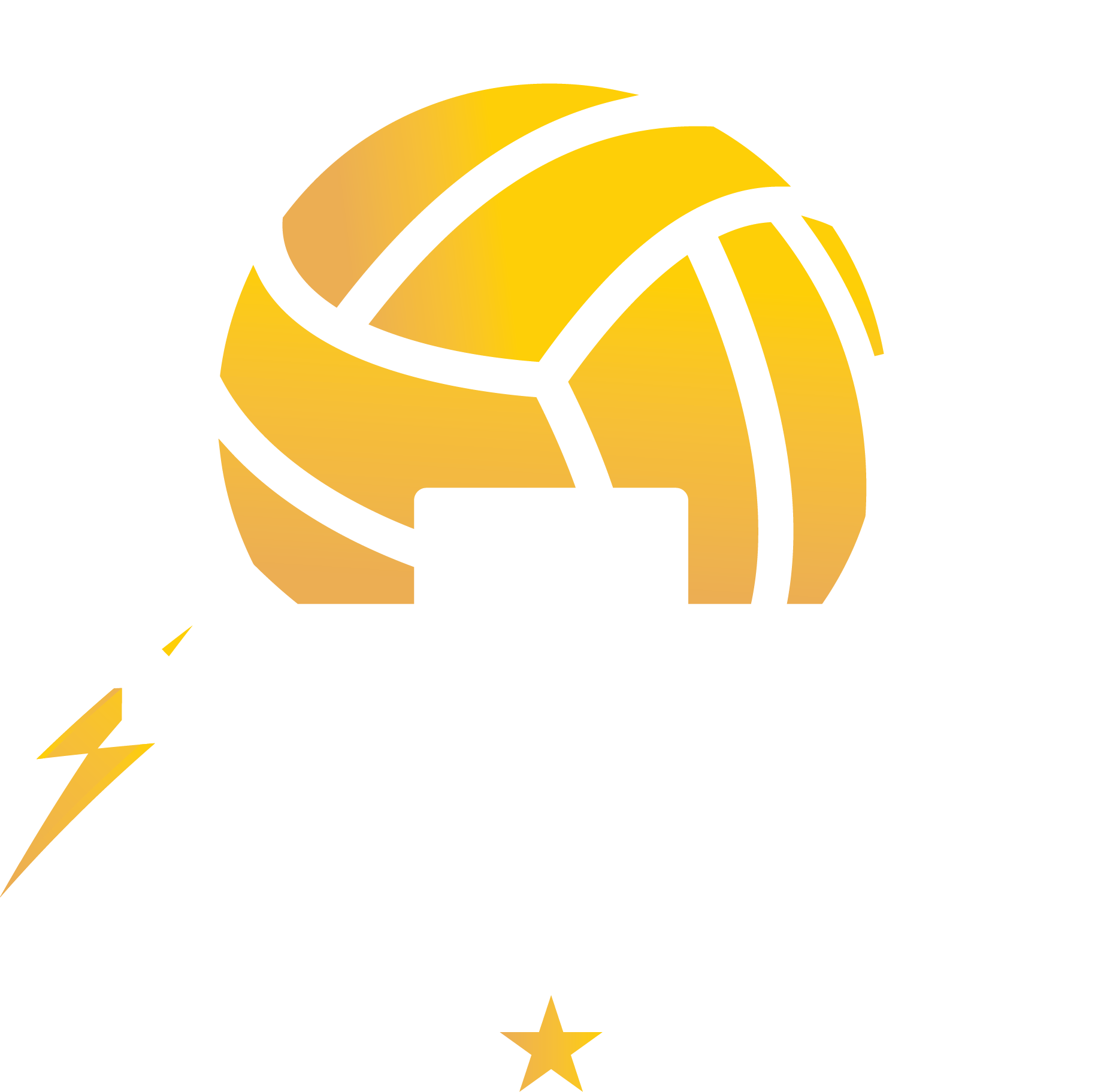 NetBallerz Academy