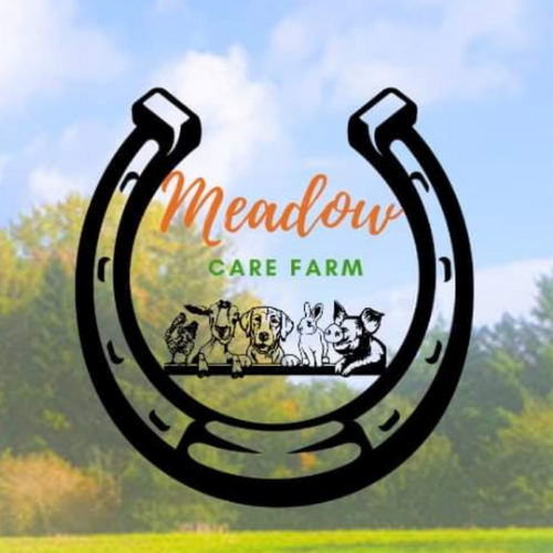 Meadow care farm
