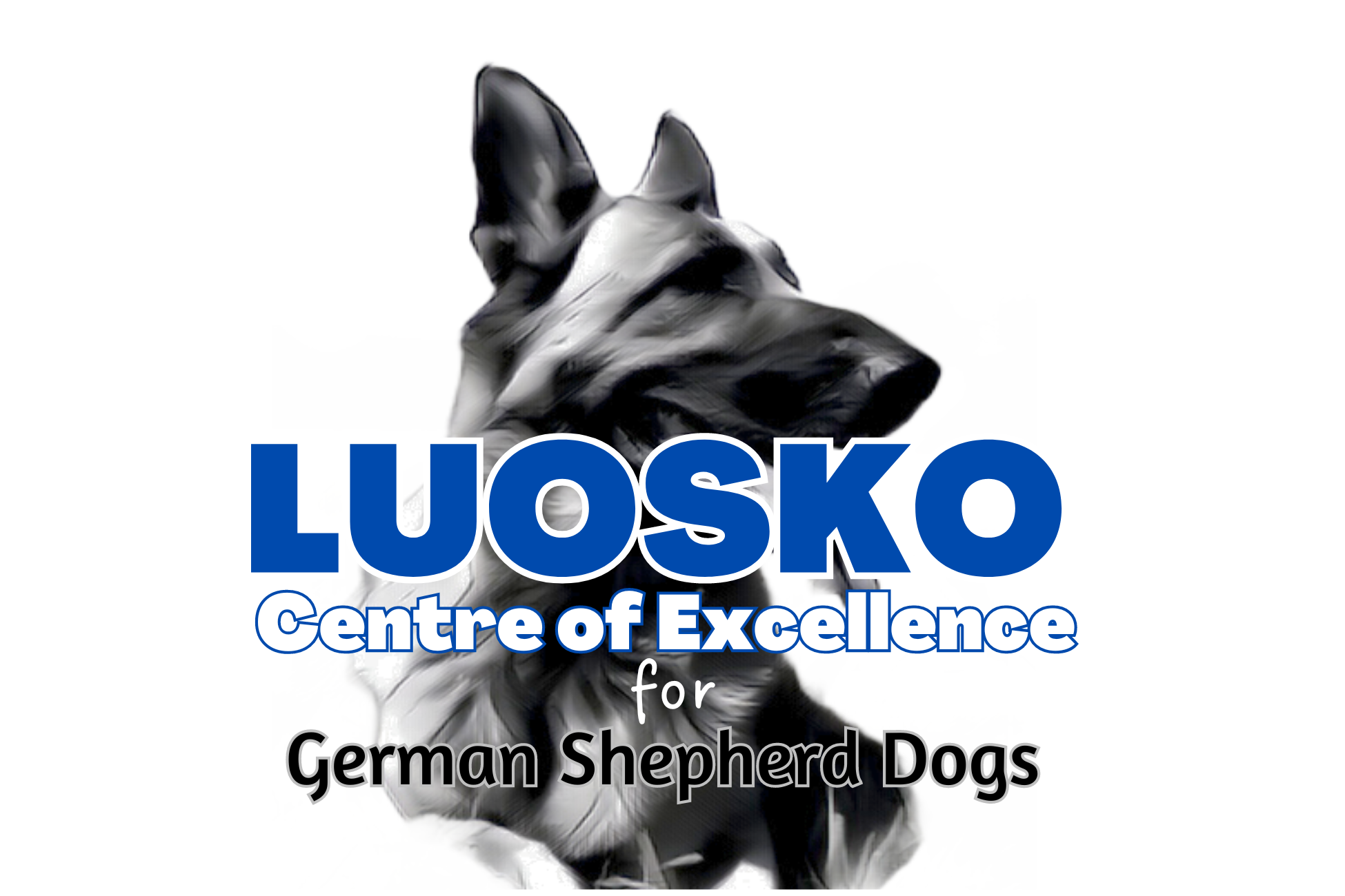 Luosko Centre of Excellence Ltd