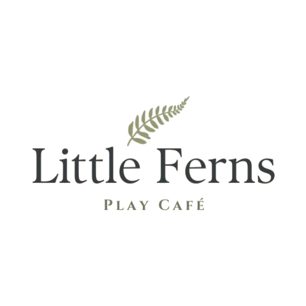 Little Ferns Play Café