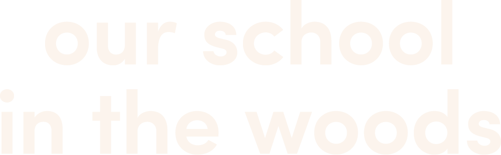 Ourschoolinthewoods
