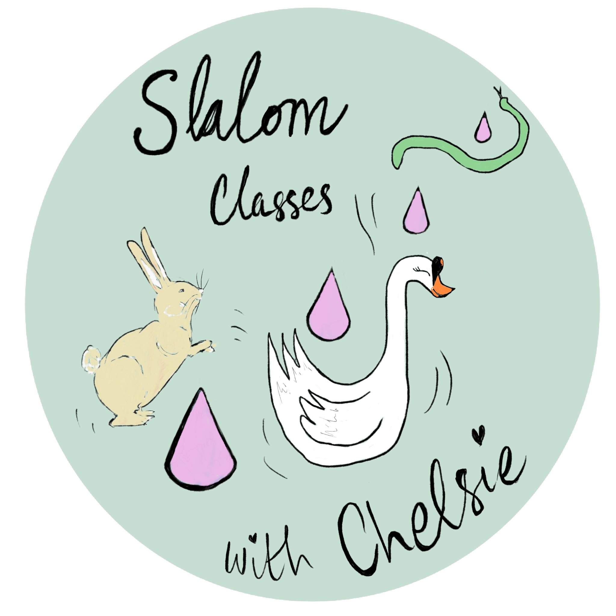 Slalom with Chelsie