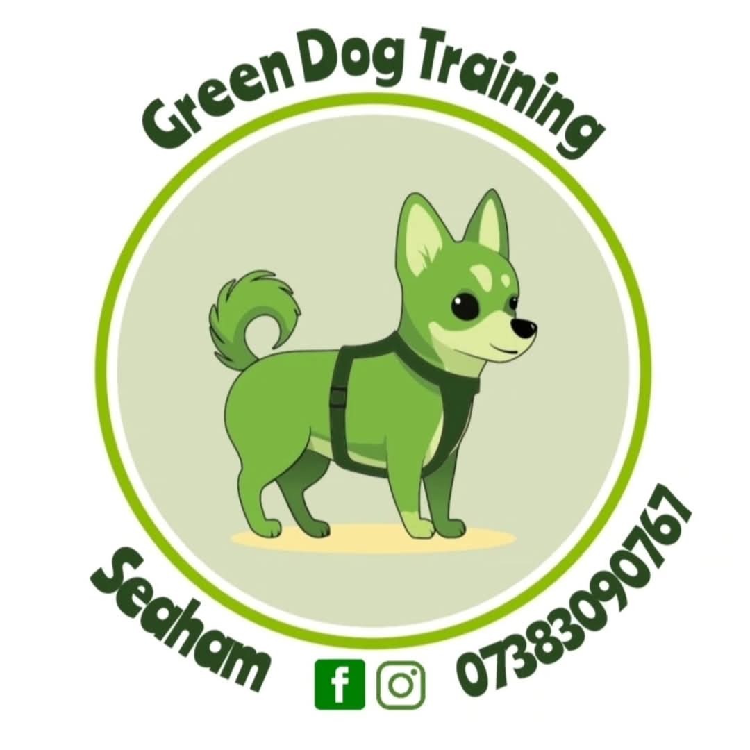 Greendogtraining