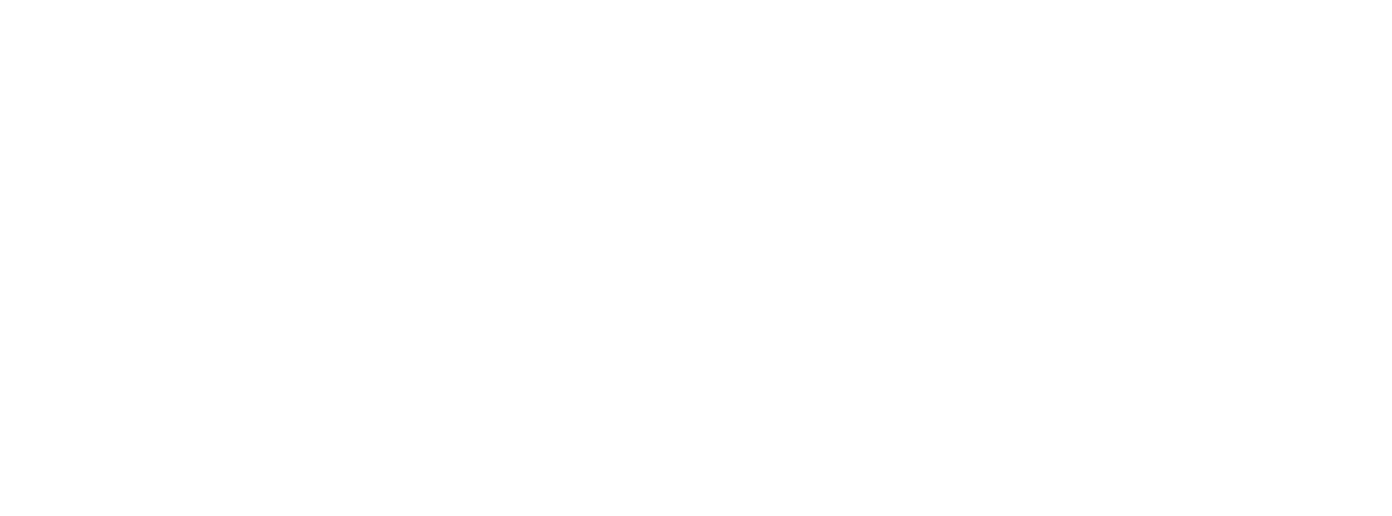 OpenView Security Solutions