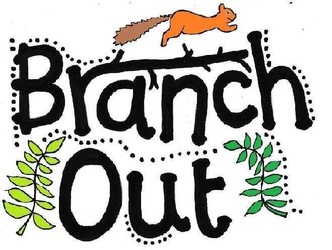 Branch Out Education