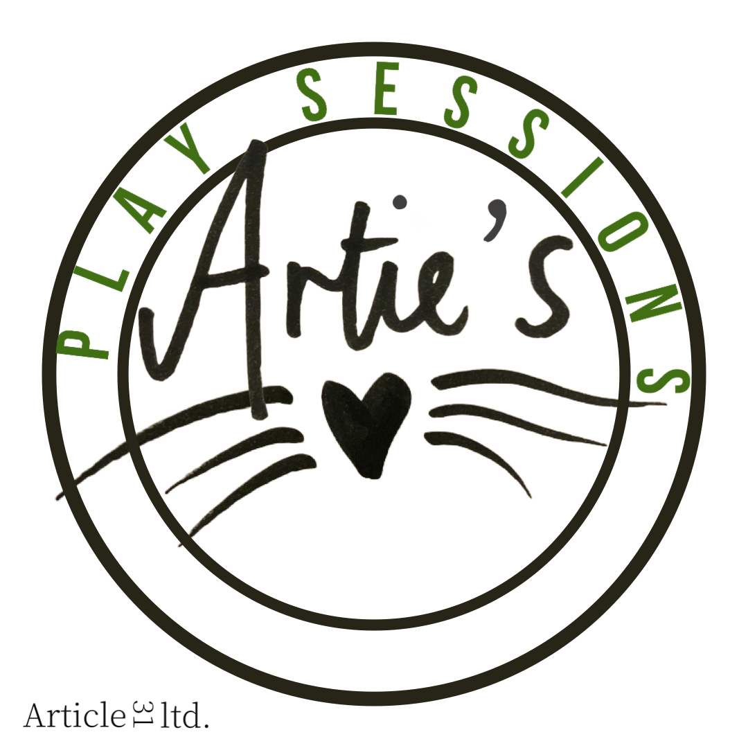 Artie’s Play Sessions