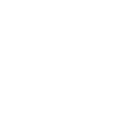 Rachel Willsey Photography