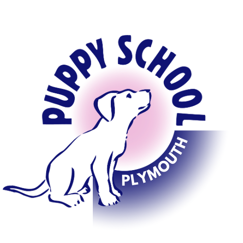 Puppyschoolplymouth