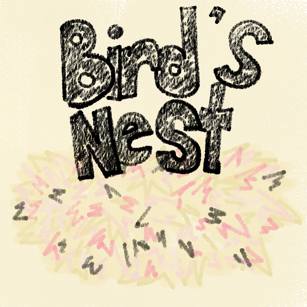 Bird's Nest