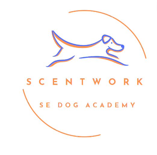 Sedogacademy