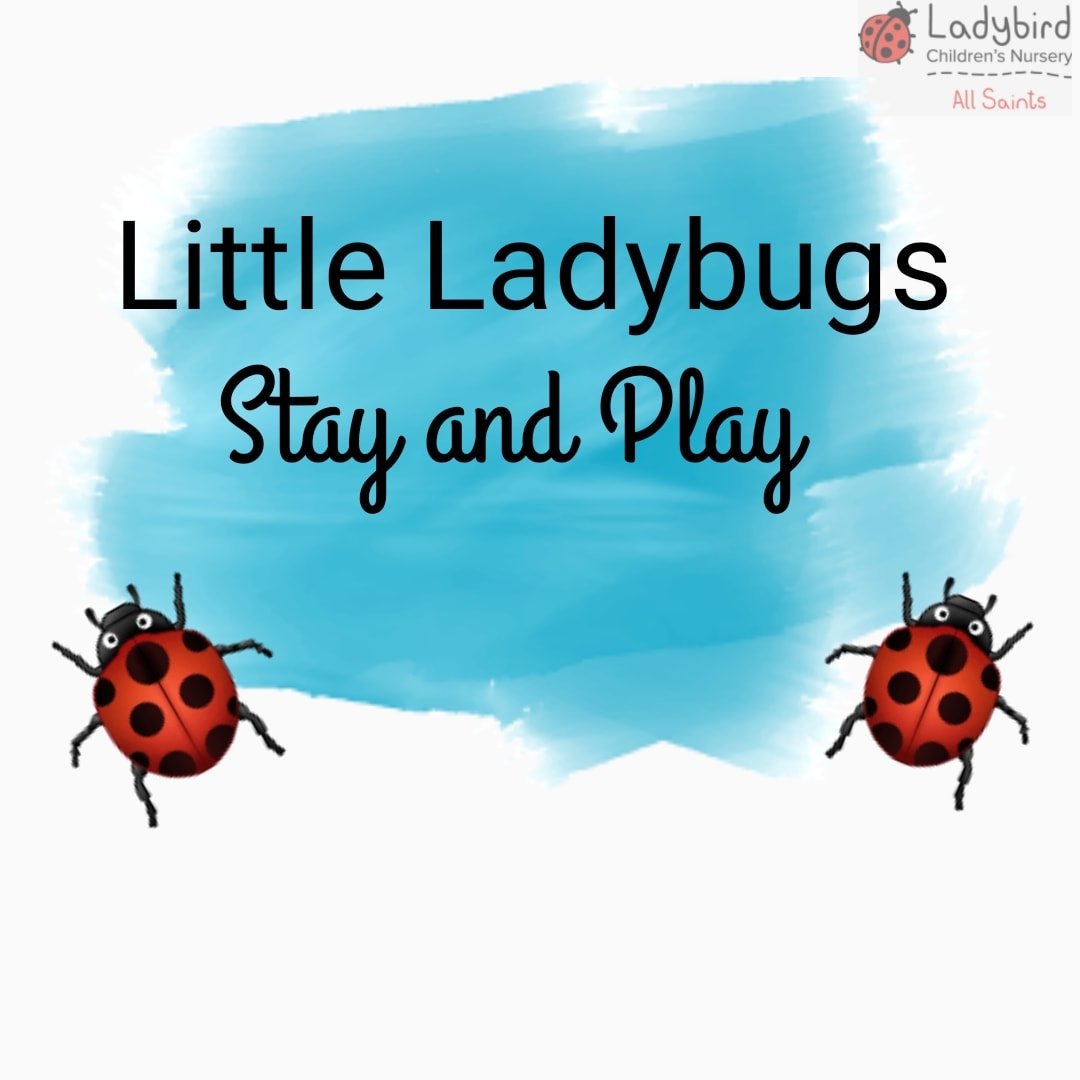 Ladybird