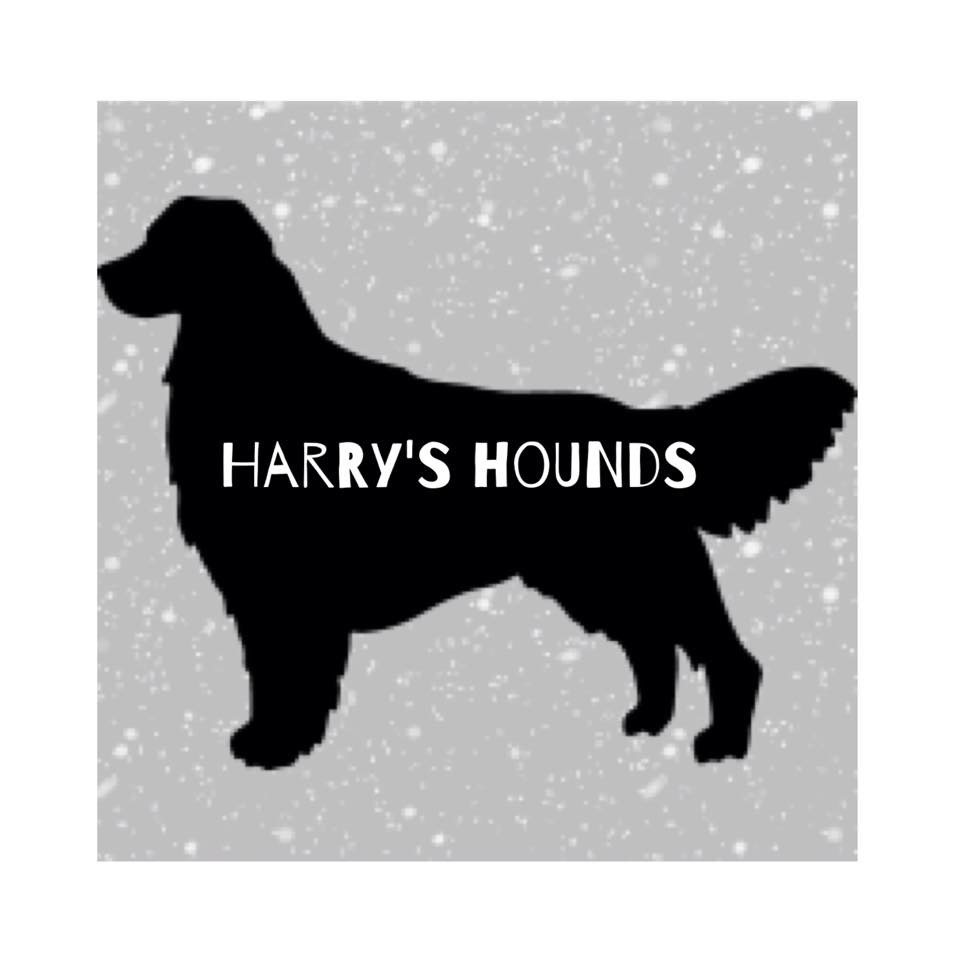 Harry’s Hounds