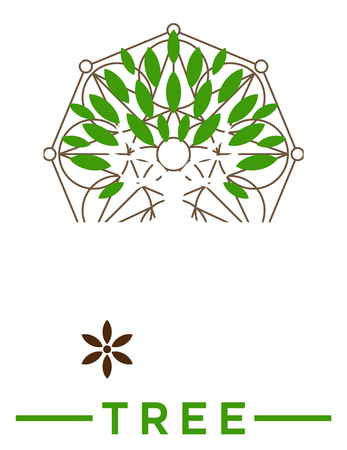 Torus Tree Ltd