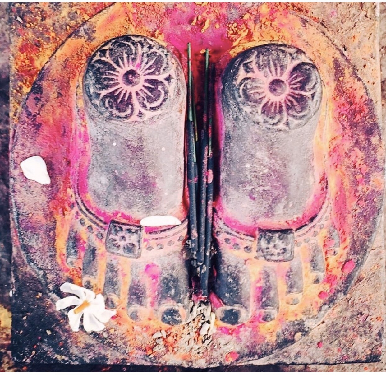 Wildwoodyoga
