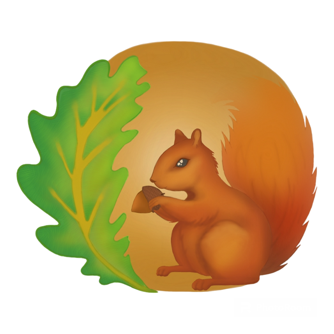 Acorn Adventures