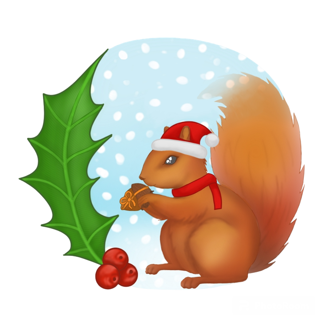 Acorn Adventures