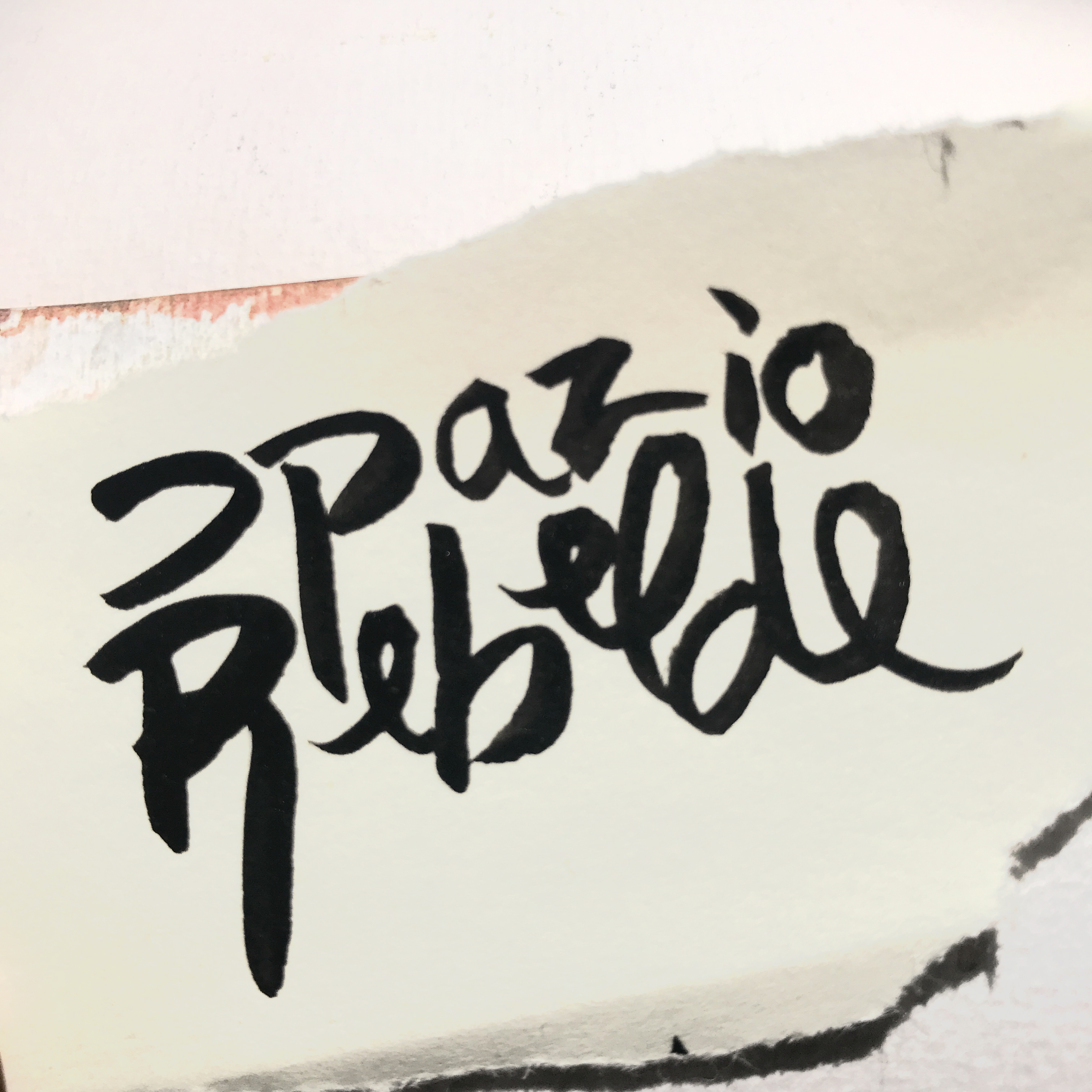 Spazio Rebelde