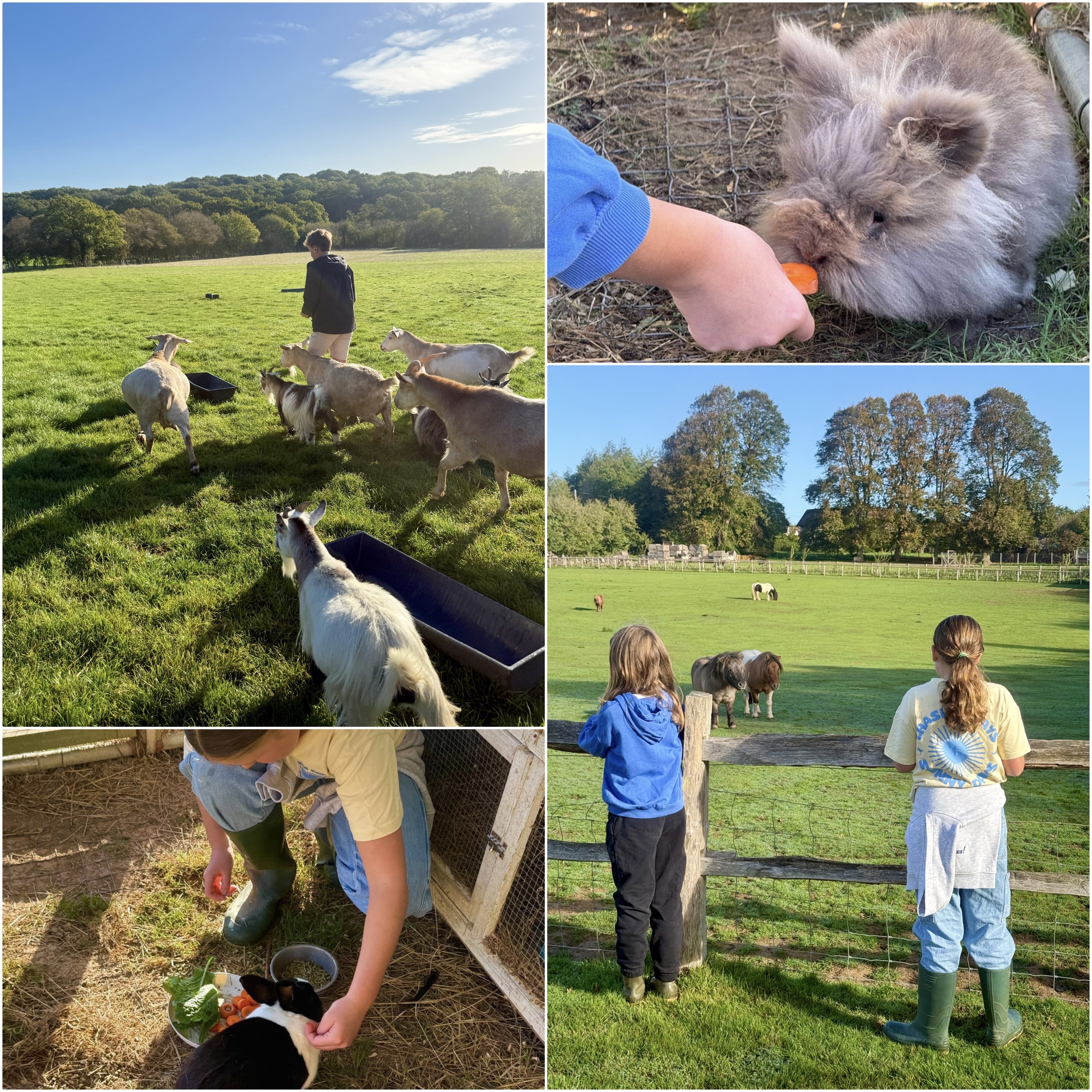 Hale Farm
