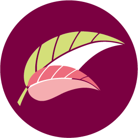 Cherrytreeyoga
