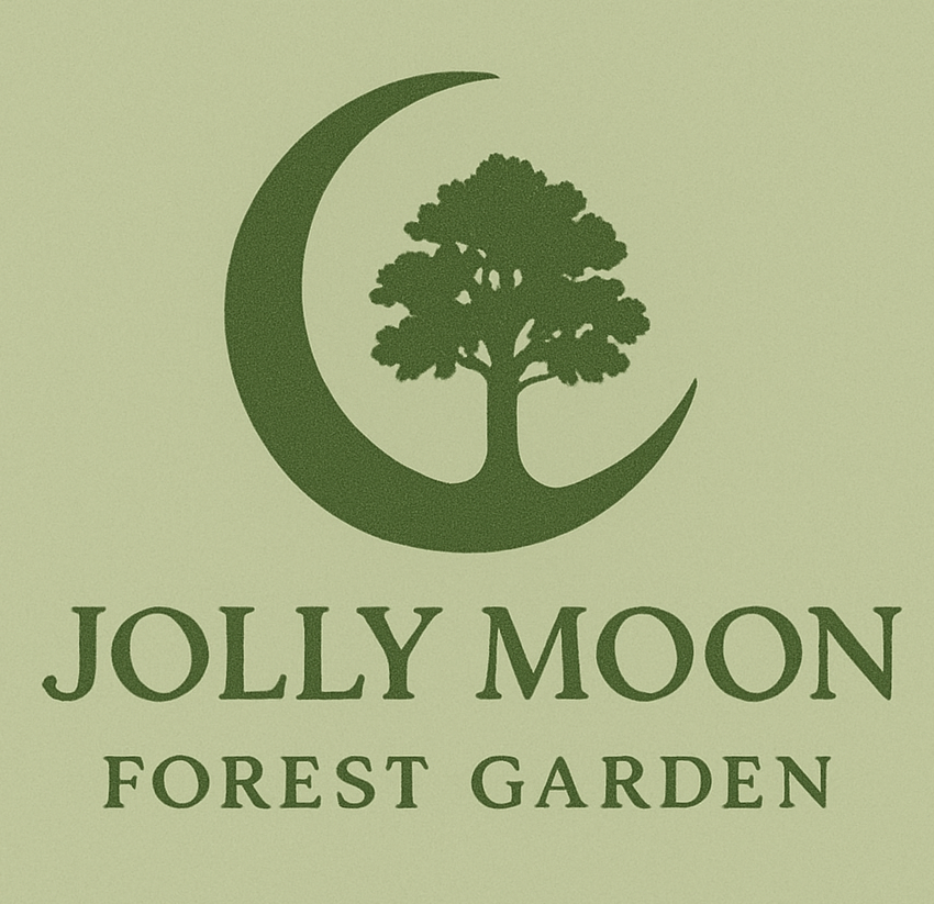 Jolly Moon Forest School 