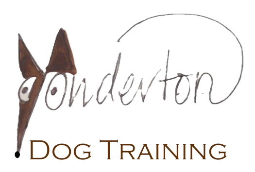 Yondertondogtraining