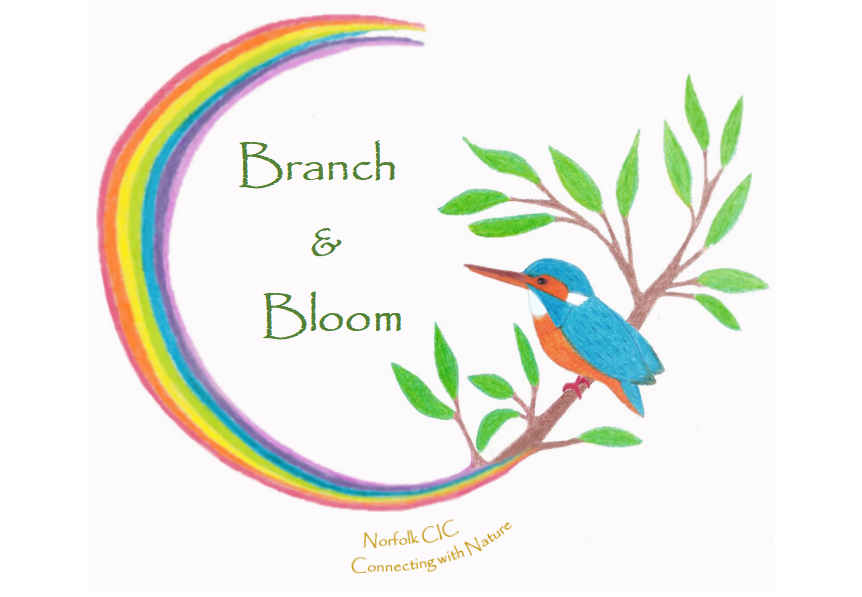 Branch & Bloom Norfolk CIC 