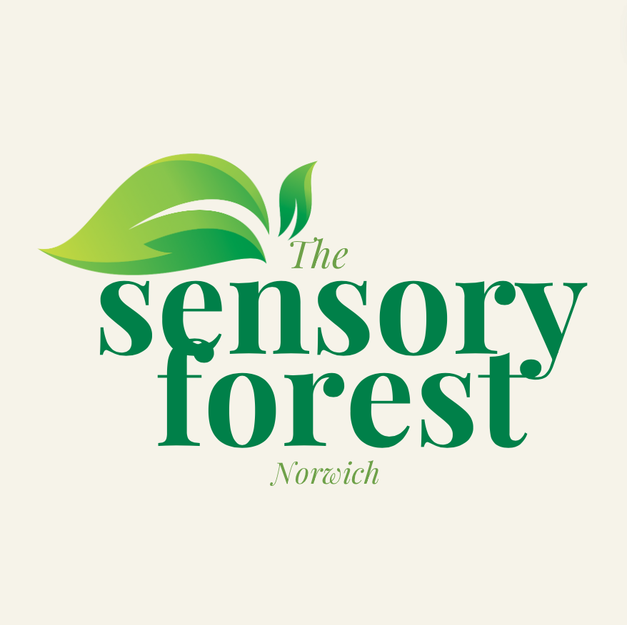 Thesensoryforestnorwich