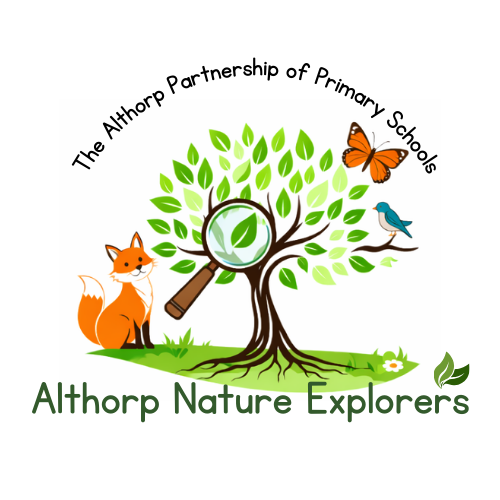 Althorpnatureexplorers