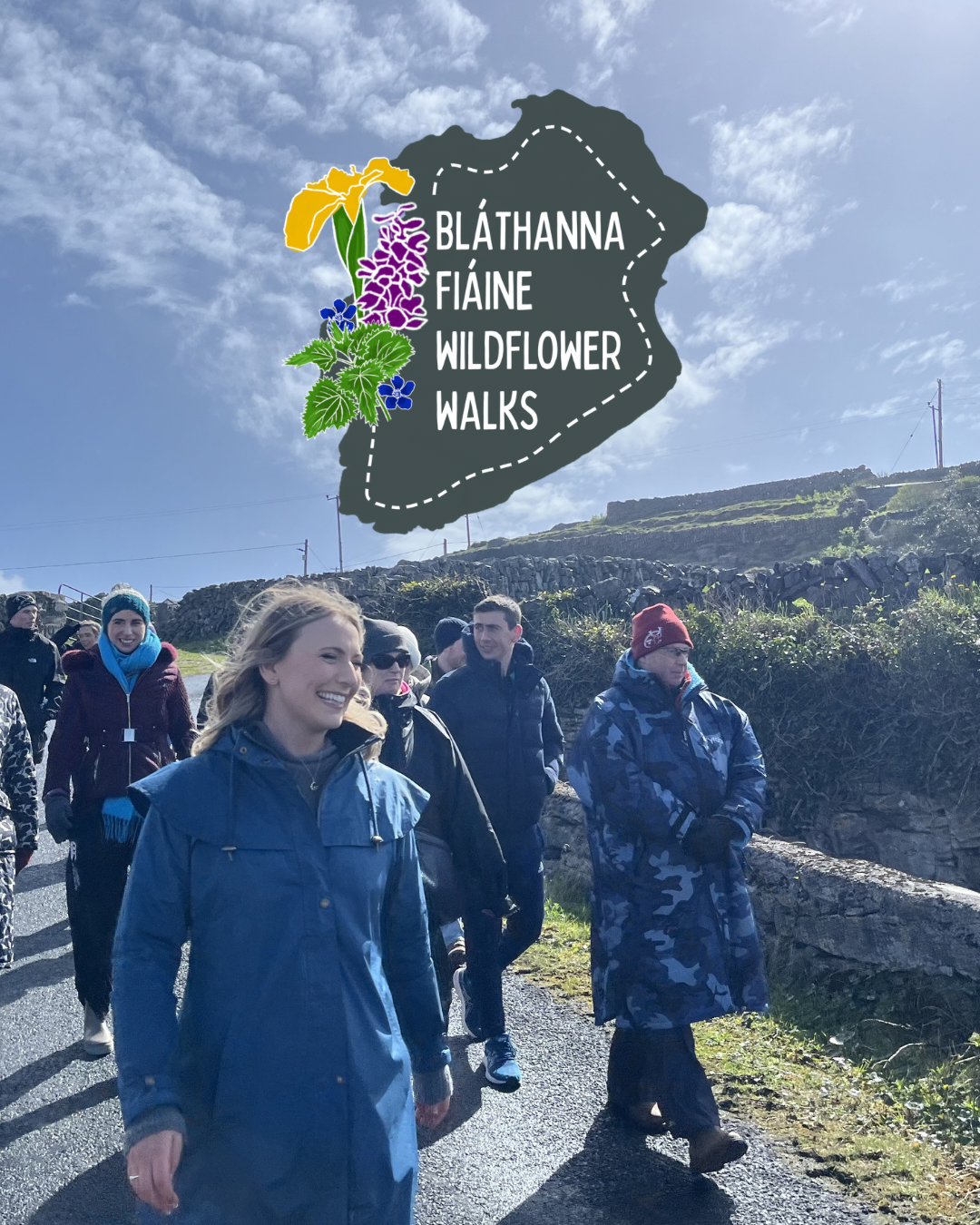 Bláthanna Fiáine Wildflower Walks