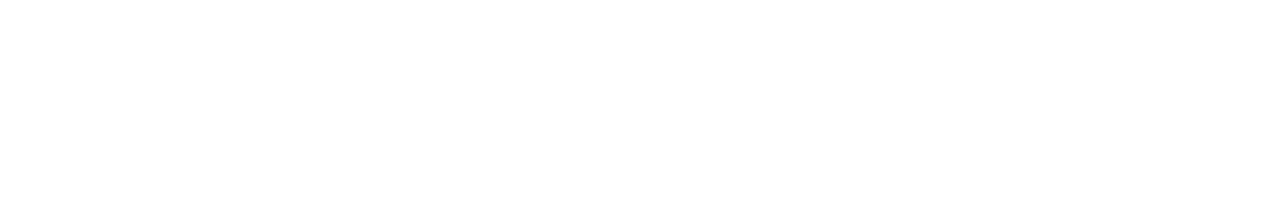 Mycronic Inc.