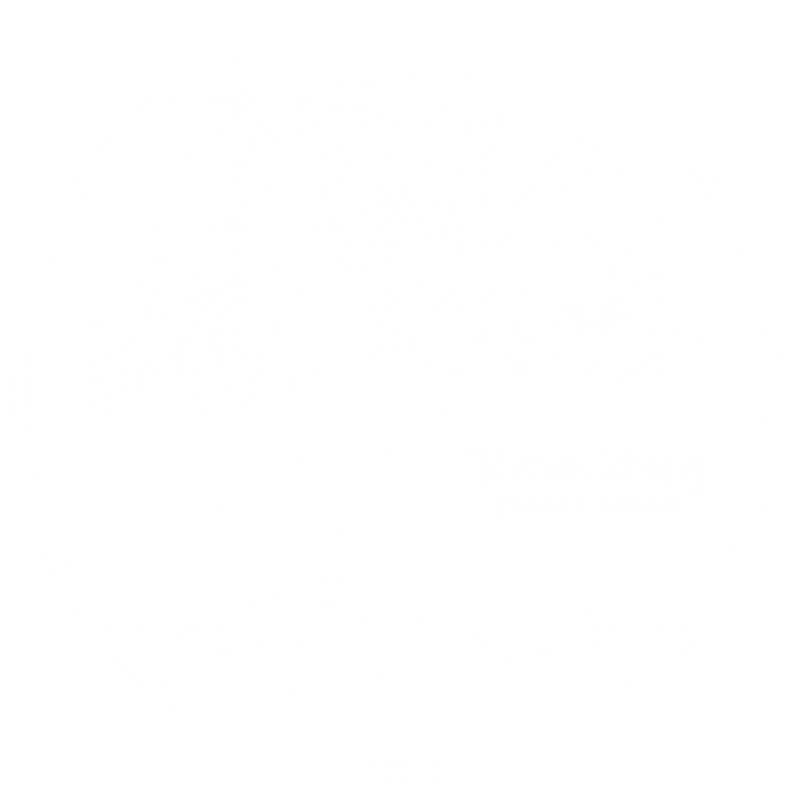 Rewildingforestschool