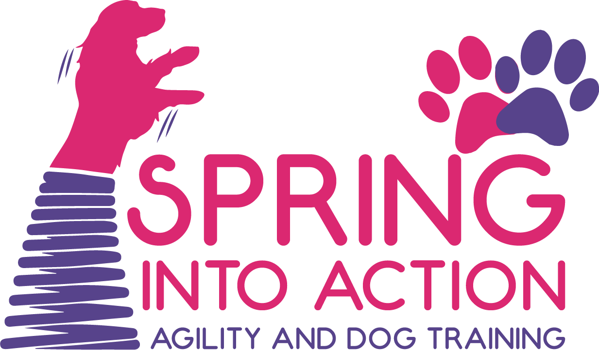 Springintoactionagility