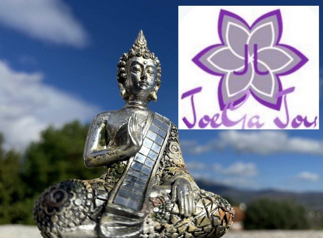 JoeGa Joy: Yoga, Meditation & More! 