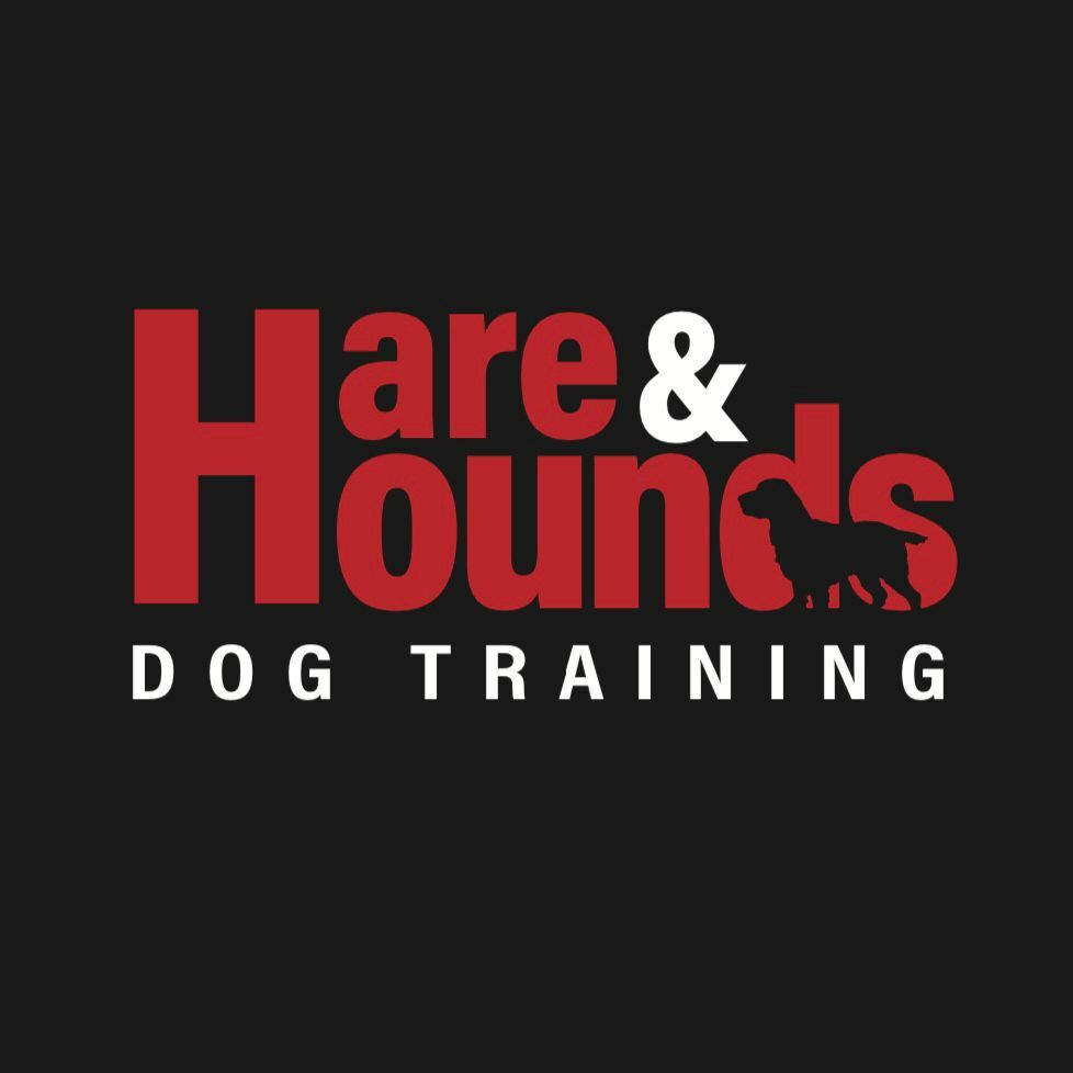 Hareandhoundsdogtraining