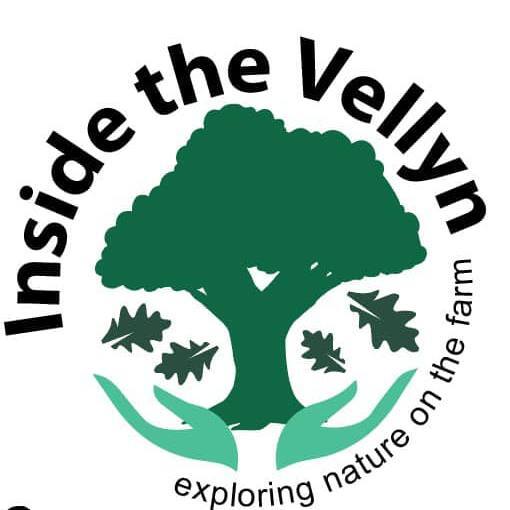Thevellyn