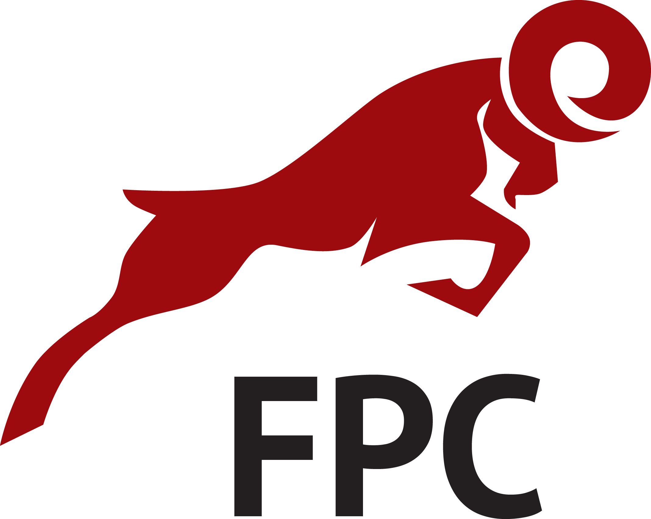 FOOTBALL PERFORMANCE CONSULTANCY LIMITED