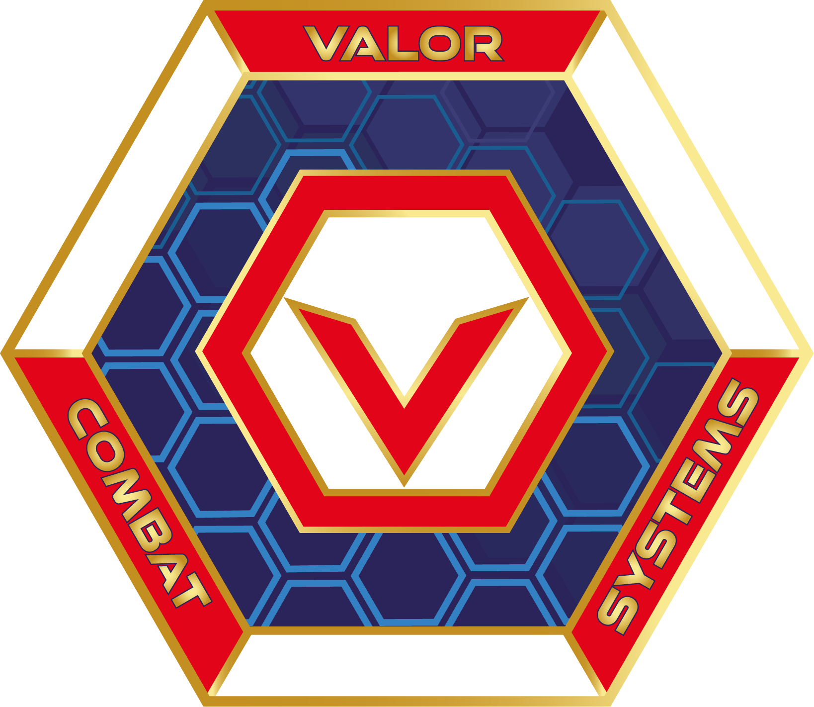 Valor Combat Systems
